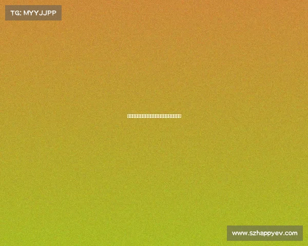 网球比赛期间交通管制措施全面解析与影响评估