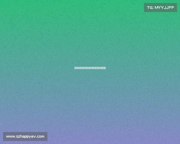 网球比赛期间交通管制措施全面解析与影响评估